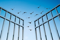 "Es ist nicht genug, zu wissen, man muss auch anwenden, 
es ist nicht genug, zu wollen, man muss auch tun." 